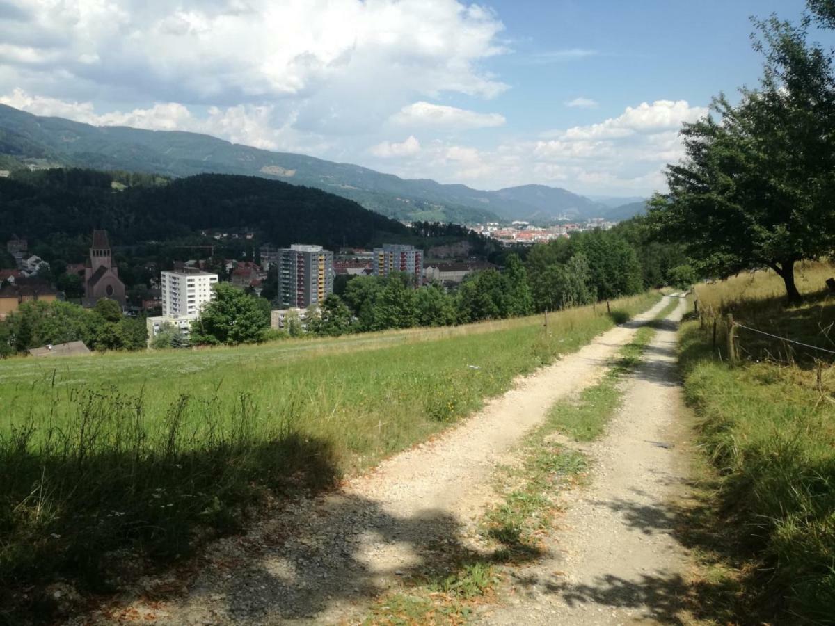 Privatzimmer Wagner Leoben  Bagian luar foto